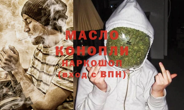 твердый Горняк