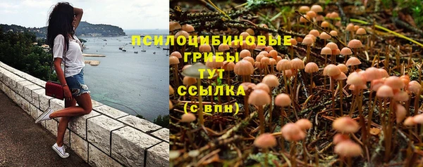 гидропоника Вяземский