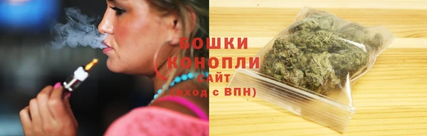 твердый Горняк