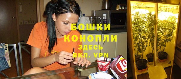 твердый Горняк