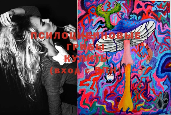 гидропоника Вяземский