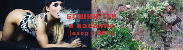 крисы Гусев