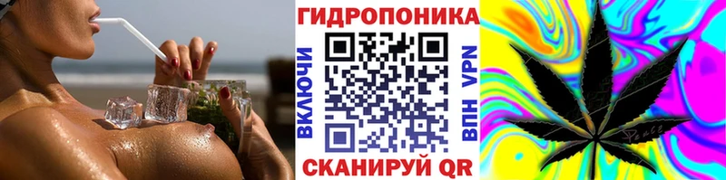 закладка  Данилов  OMG зеркало  Конопля план 